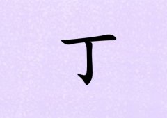 նкЌٻ_նкٻ100