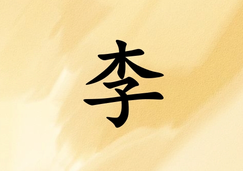 姓李女孩起名五行屬土三個字名字_姓李女孩屬土100分三個字名字