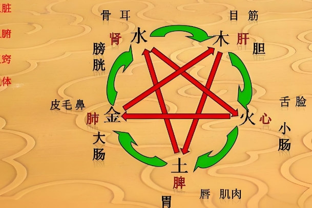 Փϵy(tng)԰l(f)չB(yng)βԭt
