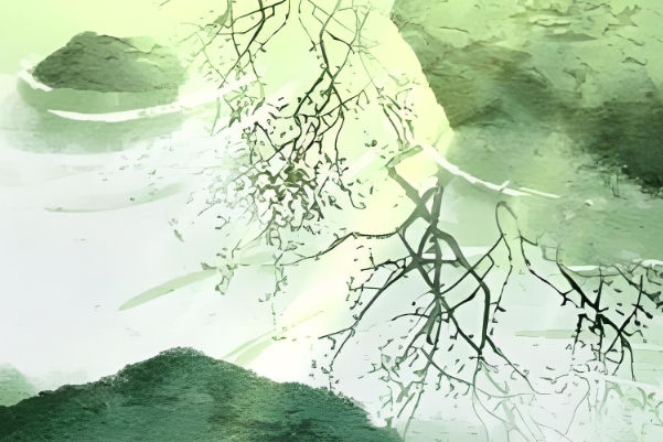 ֿmʲôL(fng)