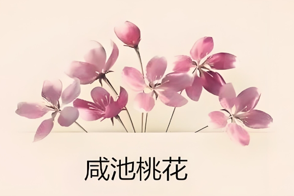 ̳һʲô˼