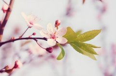 һʲô˼