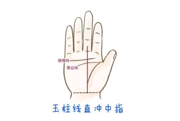 從手相看你的學(xué)歷