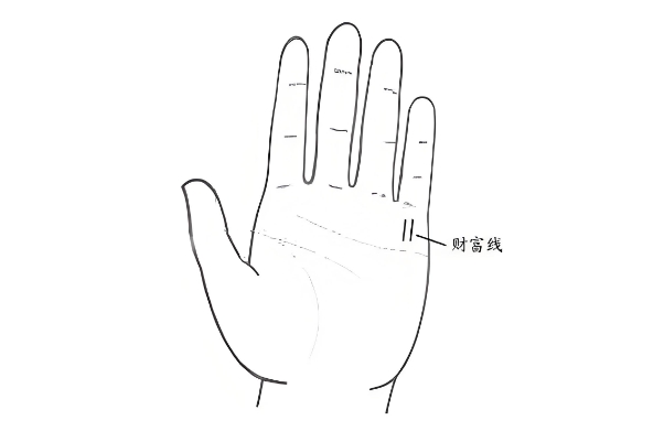 如何從手相看適合的職業(yè)