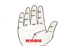 ǻ۾^̻^Ǟ(zi)