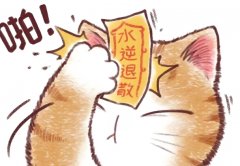 ŤD(zhun)\(yn)(sh)