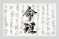 TW(xu)(x)