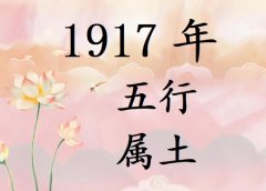 1917Ќʲô1917ʲô