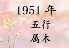 1951Ќʲô1951ʲô