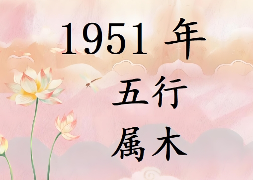 1951Ќʲô1951ʲô
