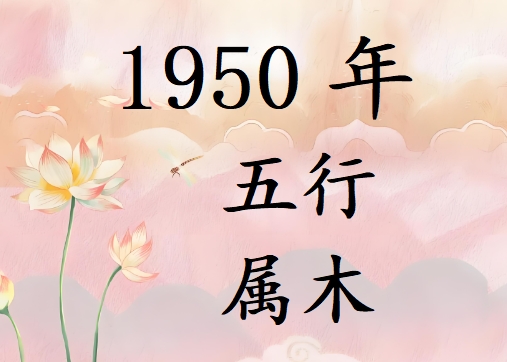 1950Ќʲô1950ʲô
