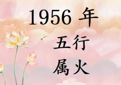1956Ќʲô1956ʲô