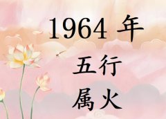 1964Ќʲô1964ʲô