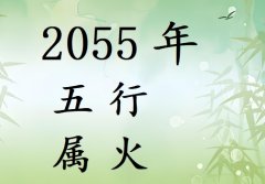 2055Ќʲô2055ʲô