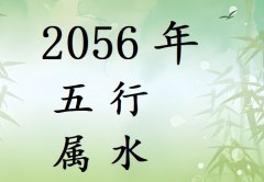 2056Ќʲô2056ʲô