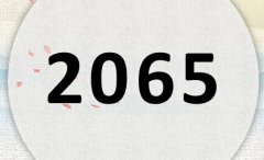 2065ʲô2065ʲôФ